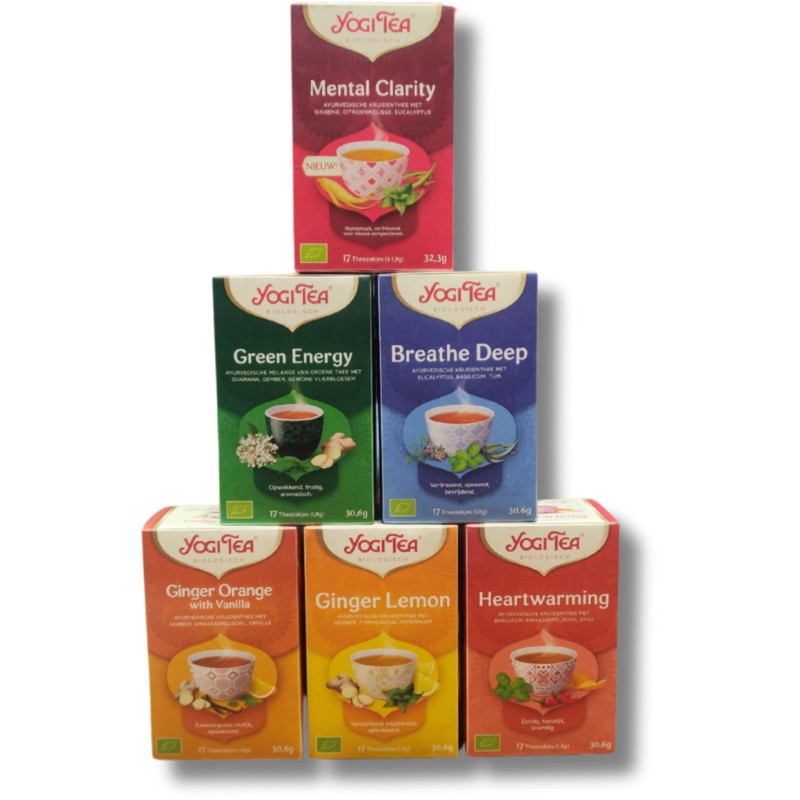 Yogi Tea Hot-'n-Cold - 6 pakjes x17 theezakjes