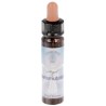 10 ml Transmutation - uit Angel Essences