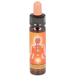 10 ml Sacral chakra - uit Chakra Essences