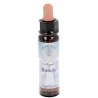 10 ml Beauty - uit Angel Essences