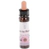 10 ml Open to Receive - uit Belief Patterns Essences