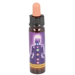 10 ml Chrown chakra - uit Chakra Essences