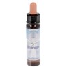 10 ml Strength - uit Angel Essences