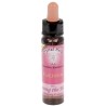 10 ml Opening the Heart - Fuchsia - uit Karmic Essences set