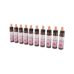 10 ml Transforming Belief Patterns set - Divine Harmony Essences