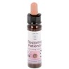 10 ml Restoring Patience - uit Core Emotions Essences