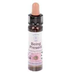 10 ml Being Present - uit Belief Patterns Essences