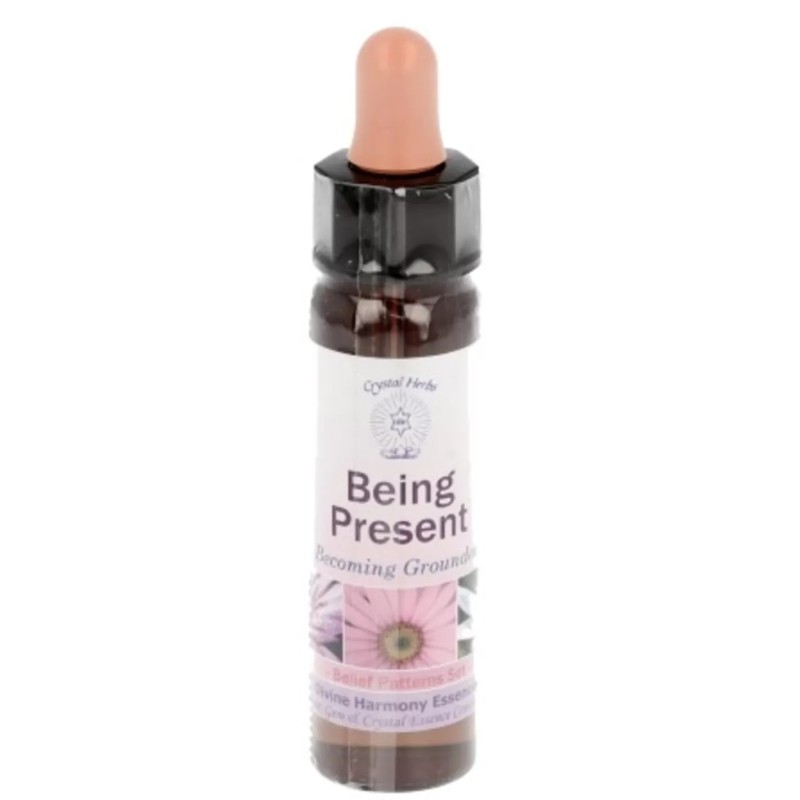 10 ml Being Present - uit Belief Patterns Essences