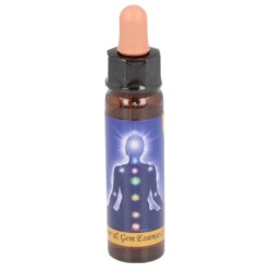 10 ml Brow chakra - uit Chakra Essences