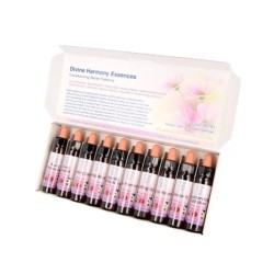 10 ml Sexuality - uit Belief Patterns Essences