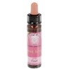 10 ml Fear - Pink Rose - uit Karmic Essences set