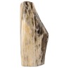 Fossiel hout uit Java gepolijst, p/kg