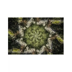 Wall art: Het Groene Tapijt