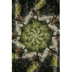 Wall art: Het Groene Tapijt