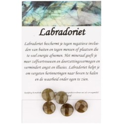 Labradoriet disc facet kralen - 5 st.