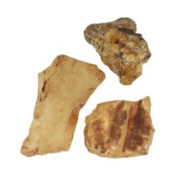 Copal halfruw trommelsteen 1 st. 3-5 cm