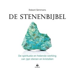 Boek: De Stenenbijbel