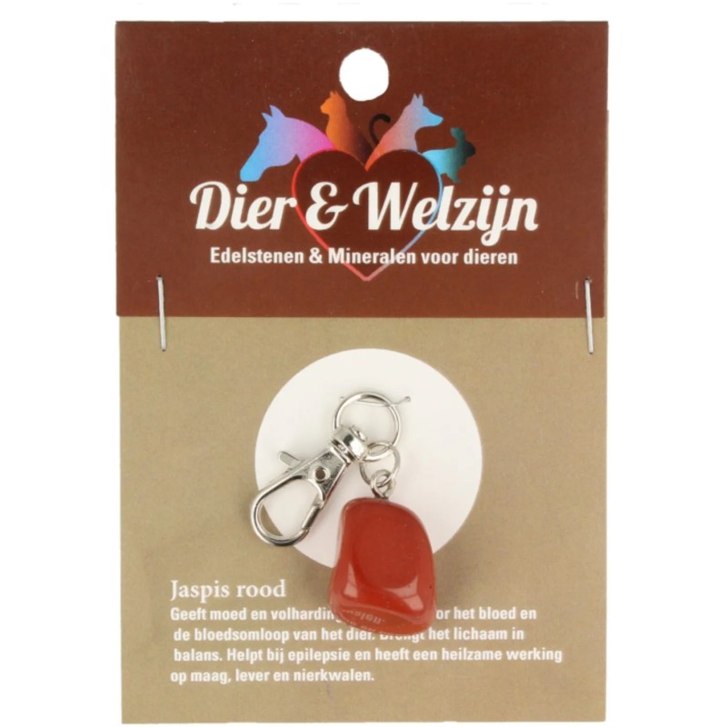 Dier & Welzijn halsband hanger Jaspis rood