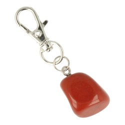 Dier & Welzijn halsband hanger Jaspis rood