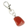 Dier & Welzijn halsband hanger Jaspis rood