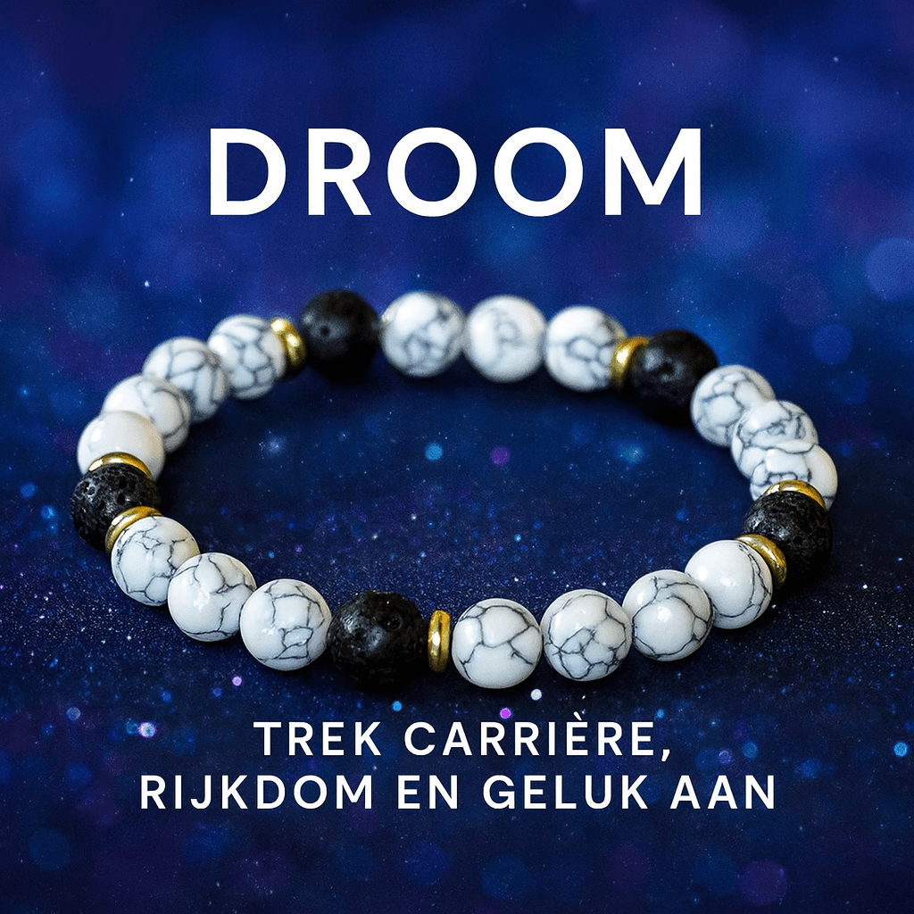 🌙 S4H Droom Armband – Trek carrière, rijkdom en geluk aan