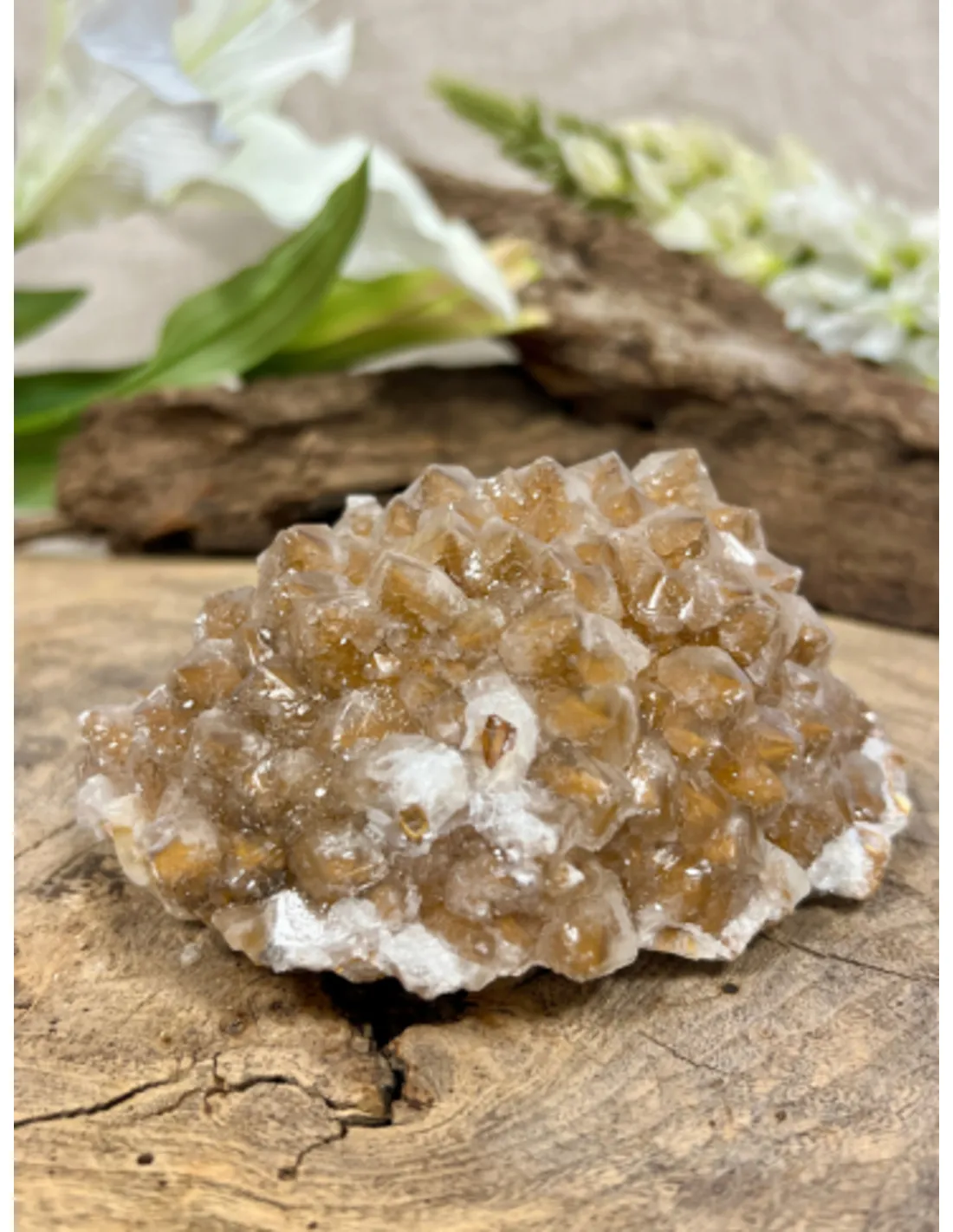 Calciet dogtooth ruw nr.571